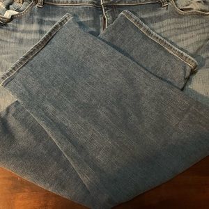 Lane Bryant jeans